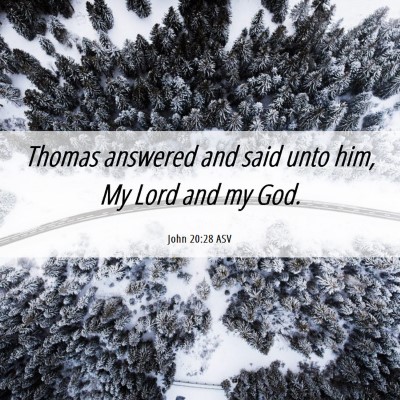 Picture 06 - John 20:28 ASV - Thomas answered and said unto him, My Lord and my - Bible Verse Picture