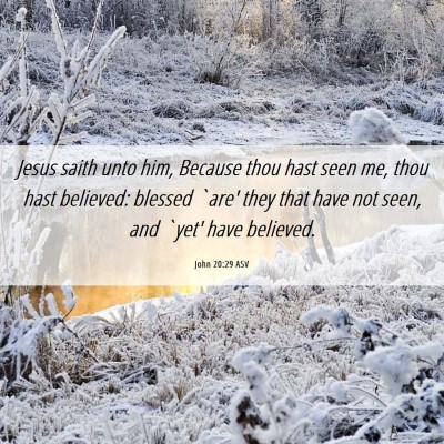 Picture 06 - John 20:29 ASV - Jesus saith unto him, Because thou hast seen me, - Bible Verse Picture