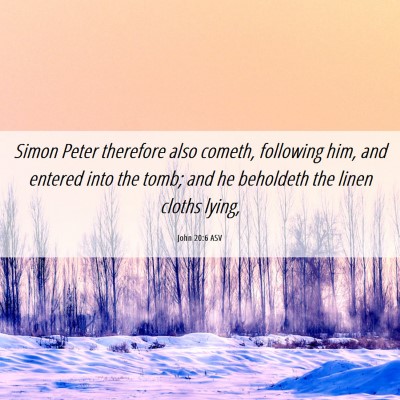 Picture 06 - John 20:6 ASV - Simon Peter therefore also cometh, following him, - Bible Verse Picture