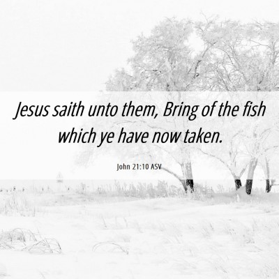 Picture 06 - John 21:10 ASV - Jesus saith unto them, Bring of the fish which ye - Bible Verse Picture