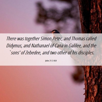 Picture 06 - John 21:2 ASV - There was together Simon Peter, and Thomas called - Bible Verse Picture