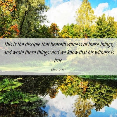 Picture 06 - John 21:24 ASV - This is the disciple that beareth witness of - Bible Verse Picture