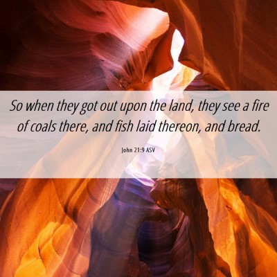 Picture 06 - John 21:9 ASV - So when they got out upon the land, they see a - Bible Verse Picture