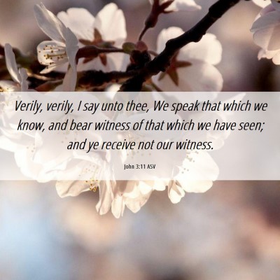 Picture 06 - John 3:11 ASV - Verily, verily, I say unto thee, We speak that - Bible Verse Picture