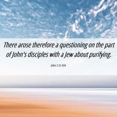 Picture 06 - John 3:25 ASV - There arose therefore a questioning on the part - Bible Verse Picture