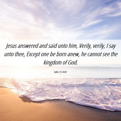 Picture 06 - John 3:3 ASV - Jesus answered and said unto him, Verily, verily, - Bible Verse Picture