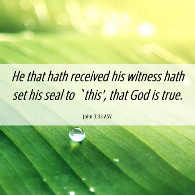 Picture 06 - John 3:33 ASV - He that hath received his witness hath set his - Bible Verse Picture