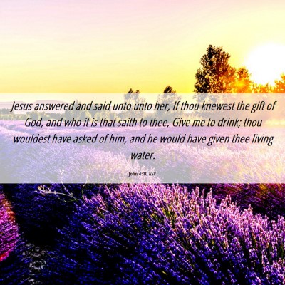 Picture 06 - John 4:10 ASV - Jesus answered and said unto unto her, If thou - Bible Verse Picture