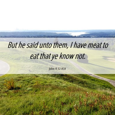 Picture 06 - John 4:32 ASV - But he said unto them, I have meat to eat that ye - Bible Verse Picture