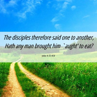 Picture 06 - John 4:33 ASV - The disciples therefore said one to another, Hath - Bible Verse Picture