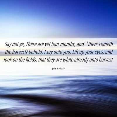 Picture 06 - John 4:35 ASV - Say not ye, There are yet four months, and `then' - Bible Verse Picture