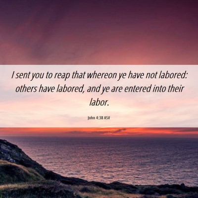 Picture 06 - John 4:38 ASV - I sent you to reap that whereon ye have not - Bible Verse Picture