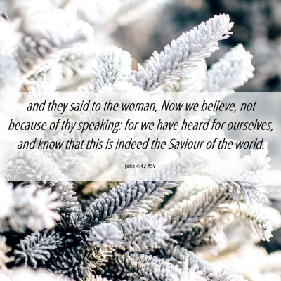 Picture 06 - John 4:42 ASV - and they said to the woman, Now we believe, not - Bible Verse Picture