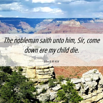 Picture 06 - John 4:49 ASV - The nobleman saith unto him, Sir, come down ere - Bible Verse Picture