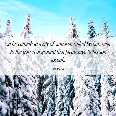 Picture 06 - John 4:5 ASV - So he cometh to a city of Samaria, called Sychar, - Bible Verse Picture
