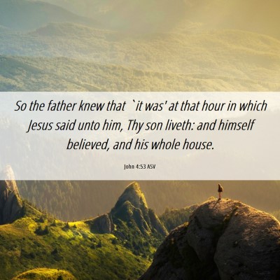 Picture 06 - John 4:53 ASV - So the father knew that `it was' at that hour in - Bible Verse Picture
