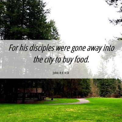 Picture 06 - John 4:8 ASV - For his disciples were gone away into the city to - Bible Verse Picture