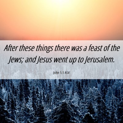 Picture 06 - John 5:1 ASV - After these things there was a feast of the Jews; - Bible Verse Picture