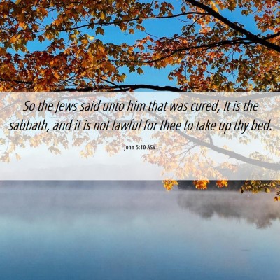 Picture 06 - John 5:10 ASV - So the Jews said unto him that was cured, It is - Bible Verse Picture