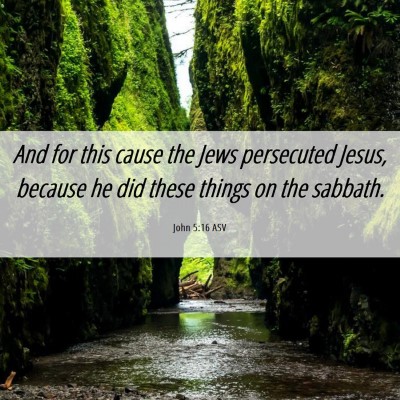 Picture 06 - John 5:16 ASV - And for this cause the Jews persecuted Jesus, - Bible Verse Picture