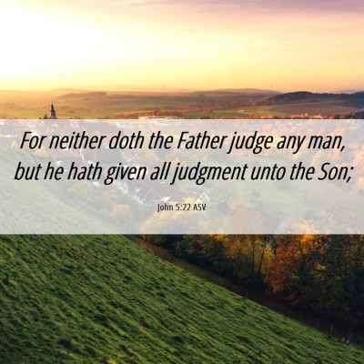 Picture 06 - John 5:22 ASV - For neither doth the Father judge any man, but he - Bible Verse Picture