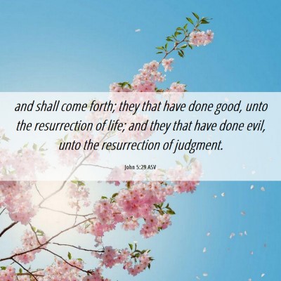 Picture 06 - John 5:29 ASV - and shall come forth; they that have done good, - Bible Verse Picture