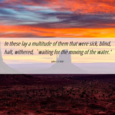 Picture 06 - John 5:3 ASV - In these lay a multitude of them that were sick, - Bible Verse Picture