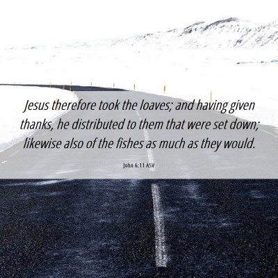 Picture 06 - John 6:11 ASV - Jesus therefore took the loaves; and having given - Bible Verse Picture