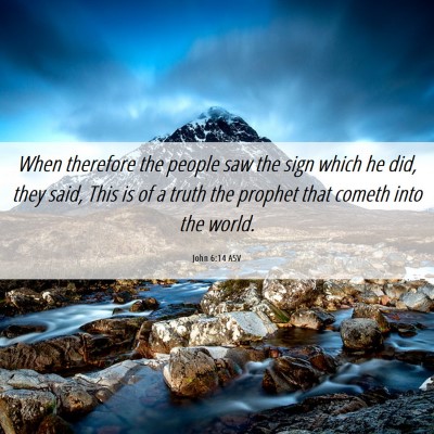 Picture 06 - John 6:14 ASV - When therefore the people saw the sign which he - Bible Verse Picture