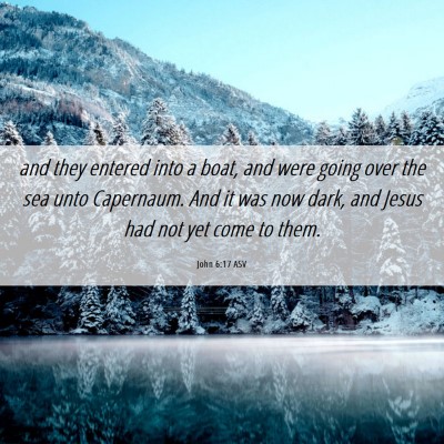 Picture 06 - John 6:17 ASV - and they entered into a boat, and were going over - Bible Verse Picture