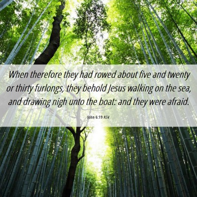 Picture 06 - John 6:19 ASV - When therefore they had rowed about five and - Bible Verse Picture
