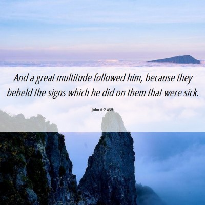 Picture 06 - John 6:2 ASV - And a great multitude followed him, because they - Bible Verse Picture
