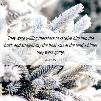 Picture 06 - John 6:21 ASV - They were willing therefore to receive him into - Bible Verse Picture