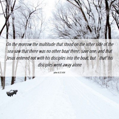 Picture 06 - John 6:22 ASV - On the morrow the multitude that stood on the - Bible Verse Picture