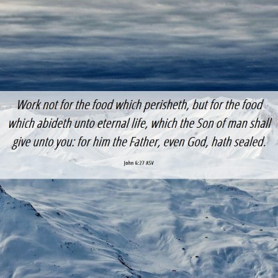 Picture 06 - John 6:27 ASV - Work not for the food which perisheth, but for - Bible Verse Picture