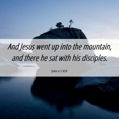 Picture 06 - John 6:3 ASV - And Jesus went up into the mountain, and there he - Bible Verse Picture
