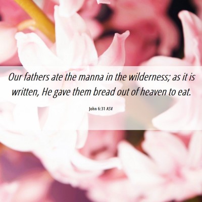 Picture 06 - John 6:31 ASV - Our fathers ate the manna in the wilderness; as - Bible Verse Picture