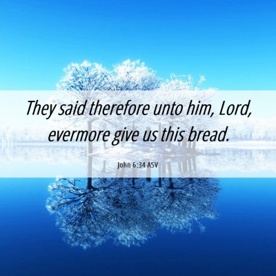 Picture 06 - John 6:34 ASV - They said therefore unto him, Lord, evermore give - Bible Verse Picture
