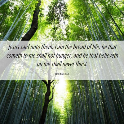 Picture 06 - John 6:35 ASV - Jesus said unto them. I am the bread of life: he - Bible Verse Picture