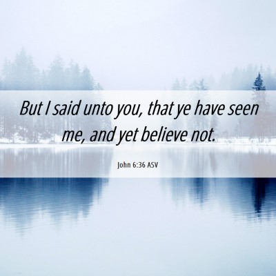 Picture 06 - John 6:36 ASV - But I said unto you, that ye have seen me, and - Bible Verse Picture