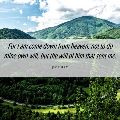 Picture 06 - John 6:38 ASV - For I am come down from heaven, not to do mine - Bible Verse Picture