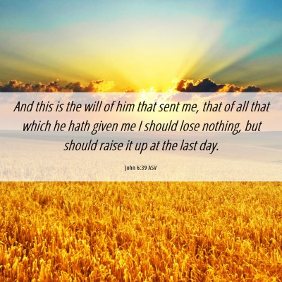 Picture 06 - John 6:39 ASV - And this is the will of him that sent me, that of - Bible Verse Picture