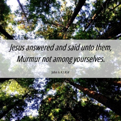 Picture 06 - John 6:43 ASV - Jesus answered and said unto them, Murmur not - Bible Verse Picture