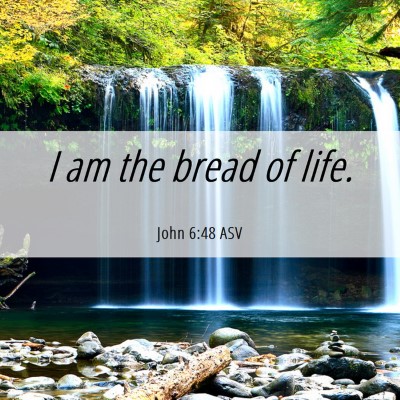 Picture 06 - John 6:48 ASV - I am the bread of - Bible Verse Picture