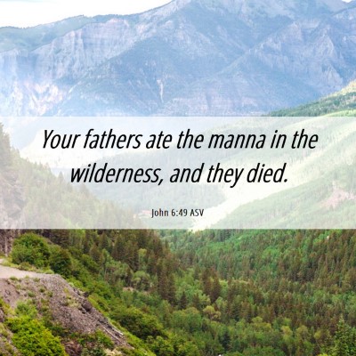 Picture 06 - John 6:49 ASV - Your fathers ate the manna in the wilderness, and - Bible Verse Picture
