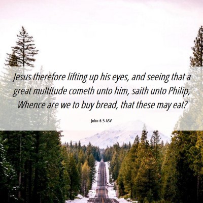 Picture 06 - John 6:5 ASV - Jesus therefore lifting up his eyes, and seeing - Bible Verse Picture