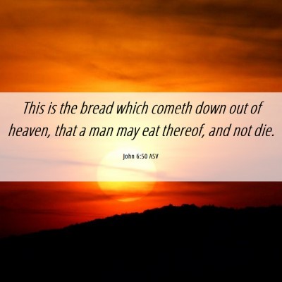 Picture 06 - John 6:50 ASV - This is the bread which cometh down out of - Bible Verse Picture