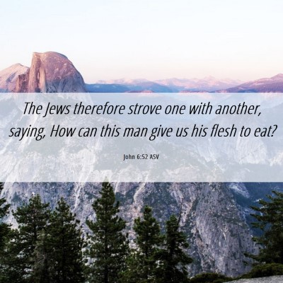 Picture 06 - John 6:52 ASV - The Jews therefore strove one with another, - Bible Verse Picture