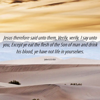 Picture 06 - John 6:53 ASV - Jesus therefore said unto them, Verily, verily, I - Bible Verse Picture
