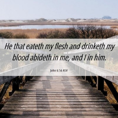 Picture 06 - John 6:56 ASV - He that eateth my flesh and drinketh my blood - Bible Verse Picture